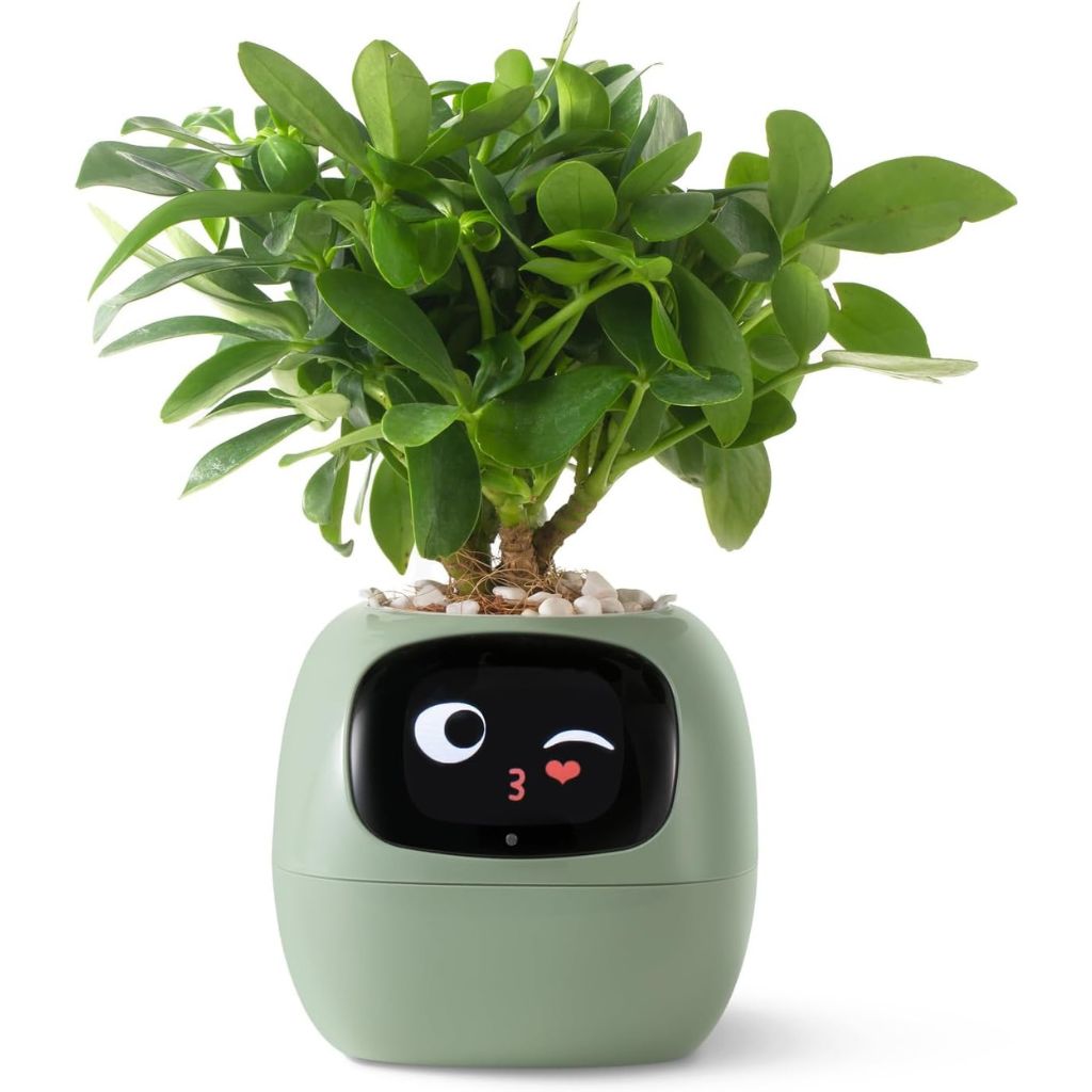 Ivy Smart Plant Pot